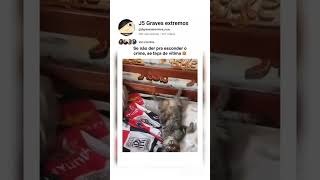 Se não der pra esconder o crime, se faça de vítima