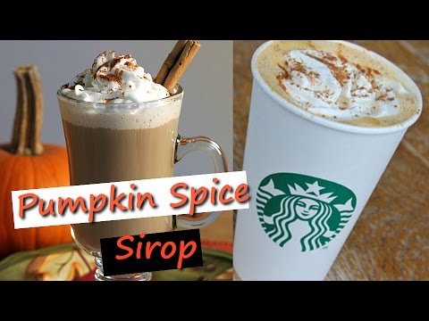 download lagu mp3 mp4 Bols Pumpkin Spice, download lagu Bols Pumpkin Spice gratis, unduh video klip Bols Pumpkin Spice