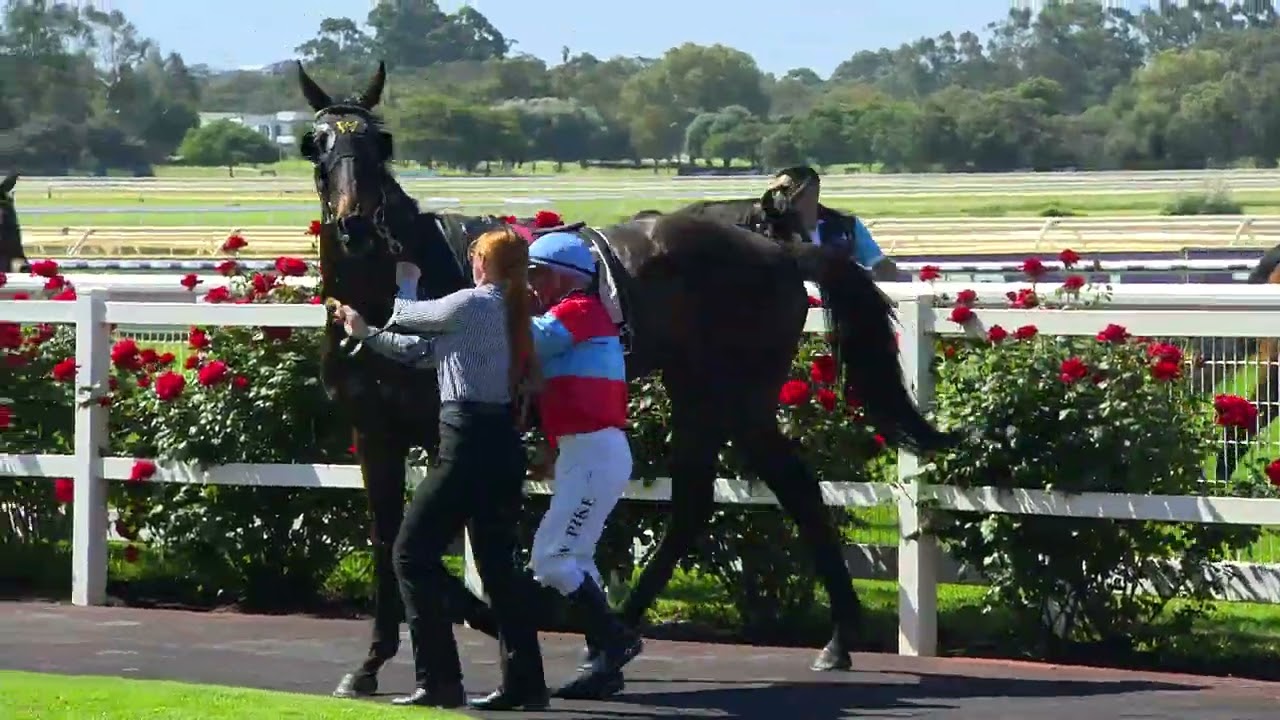 Race 4 - Ascot- 26/10/2024