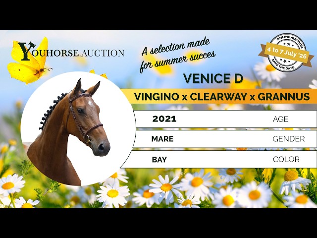 Venice D