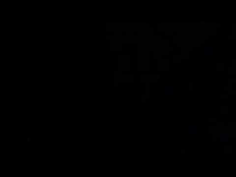 Rhyl midnight garden