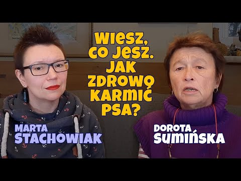 Wiesz, co jesz. Jak zdrowo karmić psa?