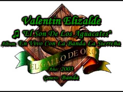 El Son De Los Aguacates - Valentin Elizalde