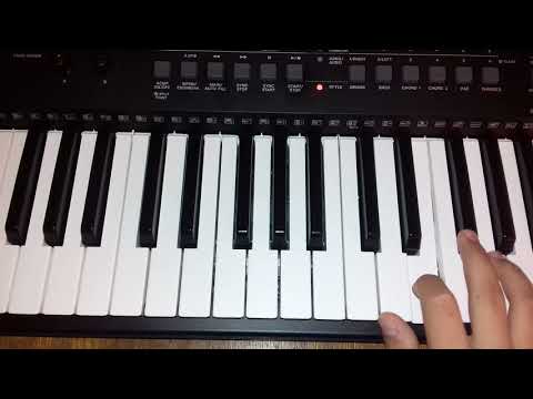 Mandra floare trandafir-Tutorial orga YAMAHA PSR E463