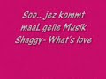Shaggy - Whats Love