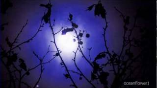 ENYA  - Shepherd Moons