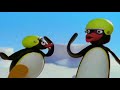 Pingu DVD VHS Promo 2004 Original E Reversed