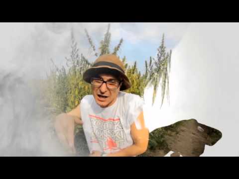 Metrowy - Detoxy 4 feat. HK Rufijok, Ema prod. Timothy Drake I Zielona linia Metra I