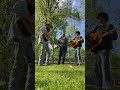 The wind in the willows 🍃 #bluegrass #original #music #country #colk #americana #willow #fy #fyp