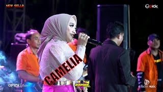 Download lagu ANISA RAHMA  DI CIUM PENYAWER - CAMELIA - NEW SELLA mp3