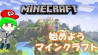 【配信中】整地するところ【マインクラフト】