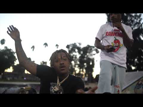 Mbm BallEr - Foreign bitch