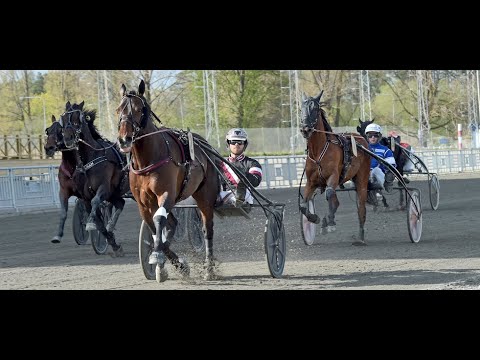 TAE KWON DEO & ADRIAN KOLGJINI WINNER GULDDIVIONENE OREBRO - 02/05/2020