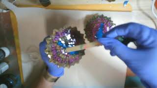 How to Resin Dome Coasters