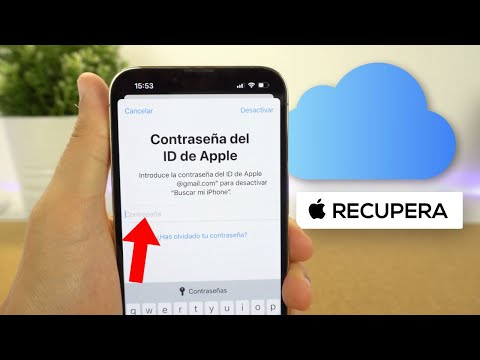 Cómo ver mi contraseña de iCloud y recuperarla si la he perdido