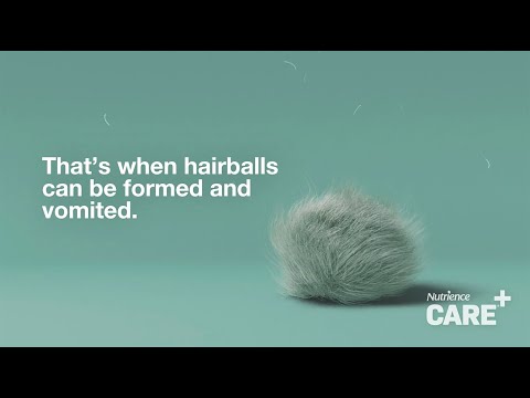 Why Choose Nutrience Care Hairball Control For Your Cat?