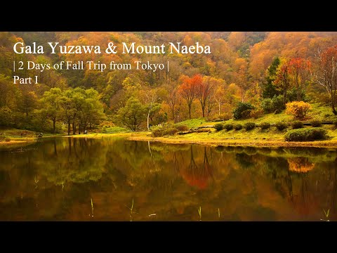 Gala Yuzawa & Mount Naeba | 2 Days of Fall Trip from Tokyo | Part I | #niigata #galayuzawa