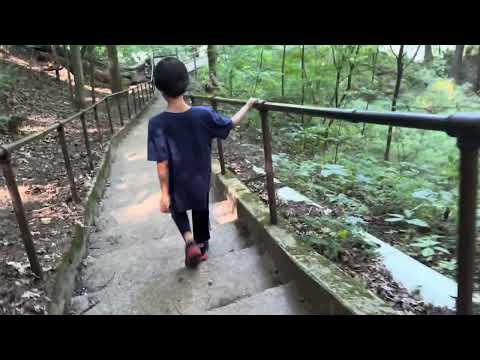 Walking Tour using steps  to reach  Tippy Dam