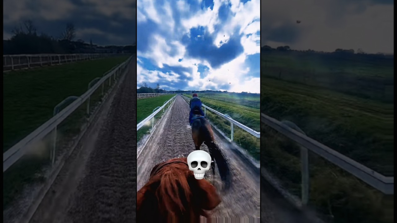 POV: The Best Feeling in the World… Riding a Horse 🐎 #shortvideo