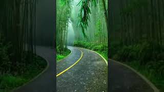 Download lagu Keindahan Alam kita yg Hampir Hilang/Pemandangan Alam desa.Nature Nature mp3 Download lagu Keindahan Alam kita yg Hampir Hilang/Pemandangan Alam desa.Nature Nature mp3