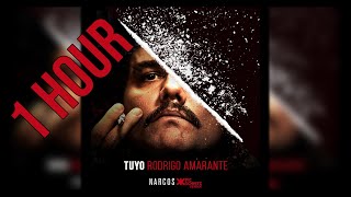 NARCOS MEXICO - TUYO - RODRIGO AMARANTE - 1 HOUR VERSION