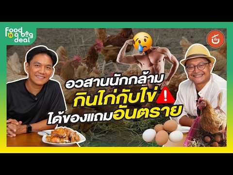 กินไก่กับไข่ แต่ดันได้ของแถม! ทางเลือก-ทางรอดของคนกินมีไหม? I Food is a Big Deal EP.1