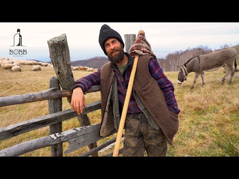 Marinel Ciobănașu' și cea mai MARE FRICĂ!? | 30 de oi prădate de LUPI | Muntele VINDECĂ