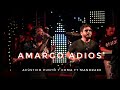 amargo adios/ Mandrake & The Magics ft Acústico Punto y Coma (cover)