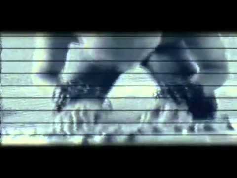 Pengkhianat video