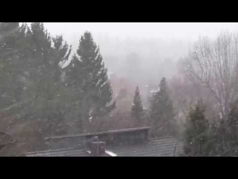 Schneefall in Bückeburg am 01.04,2015