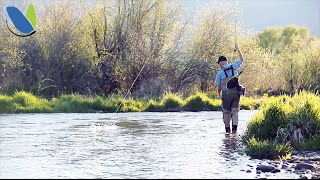 Fly fishing: How To fly fish Nymphs or Nymphing