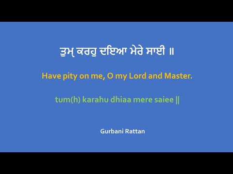 Tum Karo Daya Mere Sai - Bhai Satvinder Singh Ji & Bhai Harvinder Singh Ji (Delhi Wale)