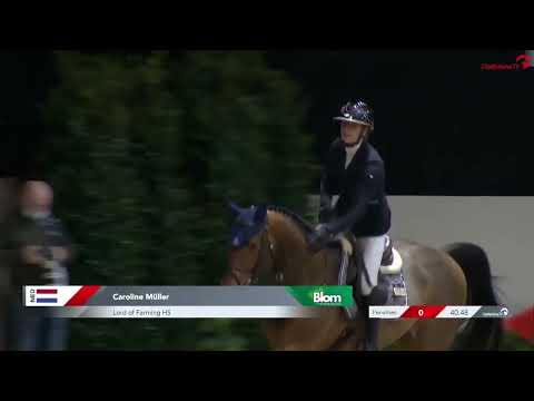 Lord of Farming KWPN Stallion Show 2022