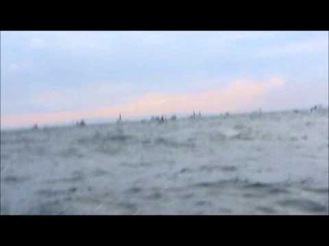 2012.11.24 大阪湾 タチウオバトル