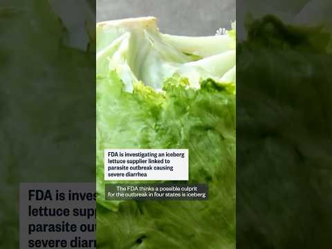 Iceberg lettuce supplier eyed in parasite outbreak