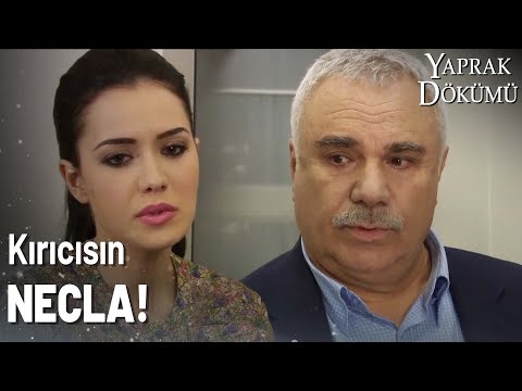 Necla Misafirlerini Unuttu! - Yaprak Dökümü Özel Klip