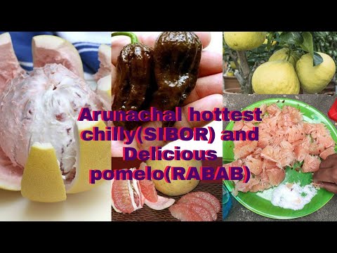 Arunachal hottest Black Papper (Sibor marsi) & delicious Pomelo(RABAB) fruit