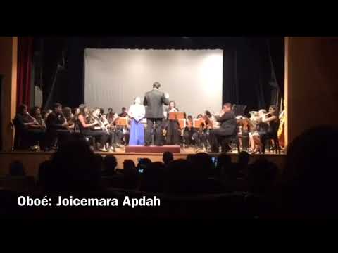 Ennio Morricone – Gabriel's Oboe - Orquestra Jovem de Sopros e Percussão da Fames/2017-Vitória - ES