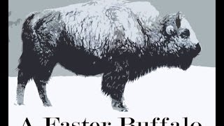 A Faster Buffalo - Woah Nelly