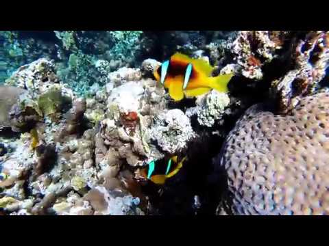 Dahab, Egypt - Winter 2017 GOPRO HERO+