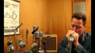 Video thumbnail for ElectroVoice 641 Vintage Dynamic Harp Mic Hi-Z by GoldenBug