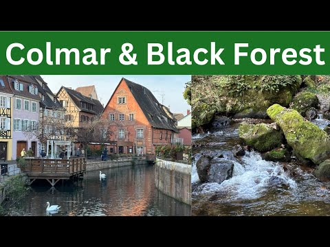 Colmar & Black Forest Day Trip:  Viking Getaway River Cruise Excursions