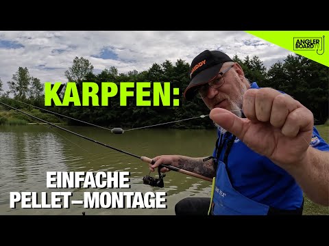 Einfache Montage für Karpfen | Auf Karpfen mit Pellets | Tipps von Andy Phelps | ANGLERBOARD TV