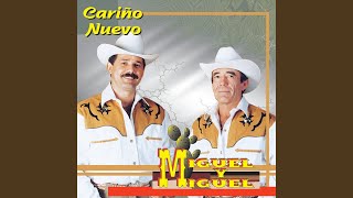 Cariño Nuevo