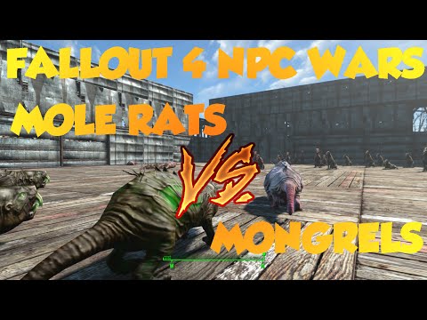 Fallout 4 NPC Wars!  Mongrels vs. Mole Rats!!!