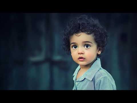 Toulouse - Damask Rose