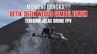 Download lagu MOMENT LANGKA!!! DETIK-DETIK WEDUS GEMBEL TURUN TEREKAM JELAS DRONE FPV mp3