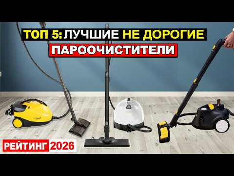 фото пароочиститель 0