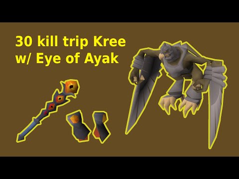 30 Kill Trip Kree w/ Eye of Ayak | OSRS