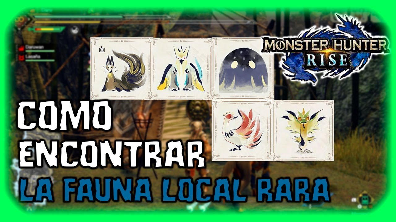 Donde Enconrtrar la Fauna Local Rara - MONSTER HUNTER RISE - GUIA TUTORIAL